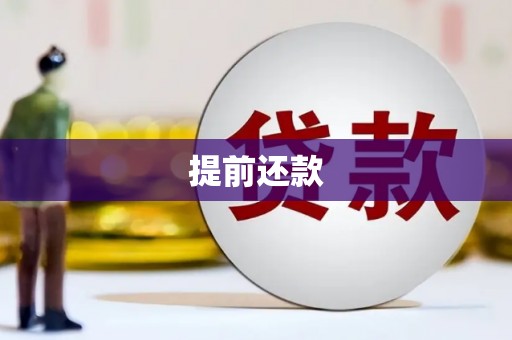 辛集提前还款