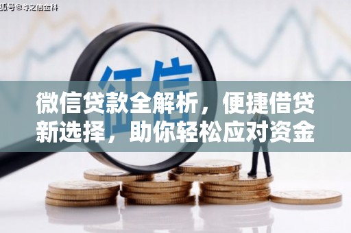 辛集微信贷款全解析，便捷借贷新选择，助你轻松应对资金需求